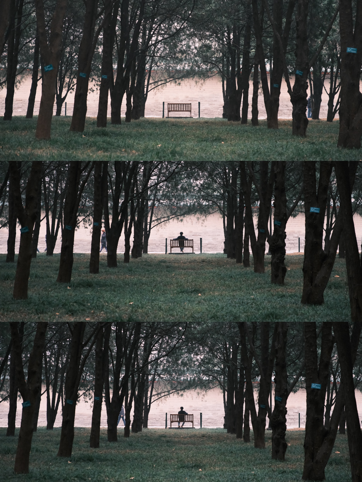 Ditan Park